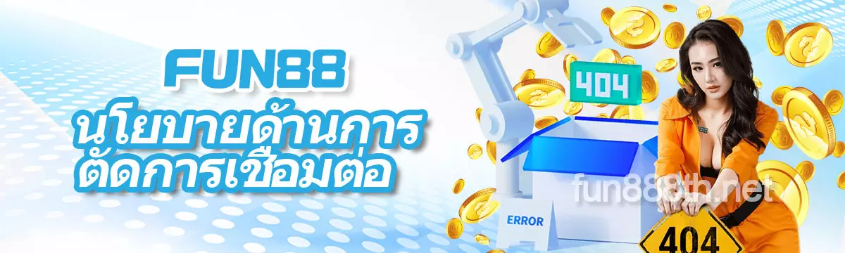 นโยบายด้านการตัดการเชื่อมต่อ